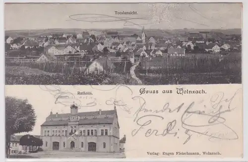 20481 Mehrbild Ak Gruss aus Wolnzach - Totalansicht, Rathaus 1900