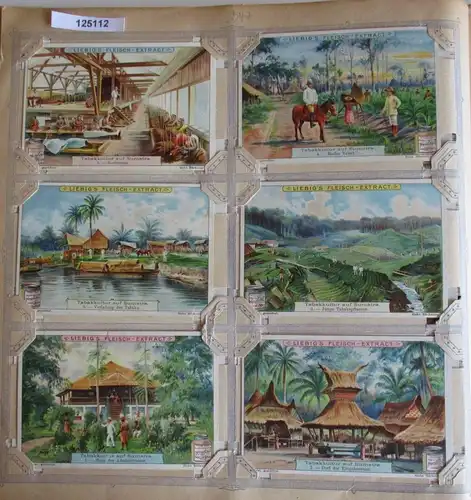A125112 Liebigbilder Serie Nr. 547 Tabakkultur auf Sumatra 1902
