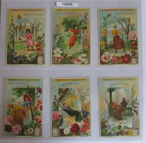 B125235 Liebigbilder Serie Nr. 484 Blumen-Jahreslauf 1901