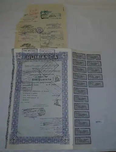 50 Stammaktien Rumianca Banco di Chiavari e della Riviera Genova 1955 (127771)