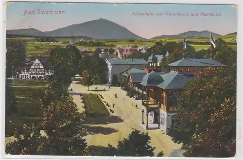 61445 Ak Bad Salzbrunn Elisenhalle mit Wiesenhaus und Hochwald 1925