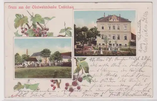 99393 Mehrbild Ak Gruß aus der Obstweinschänke Trebishain 1908