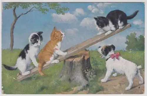 11630 Ak 3 Kätzchen und ein kleiner Hund spielen auf Wippe 1932