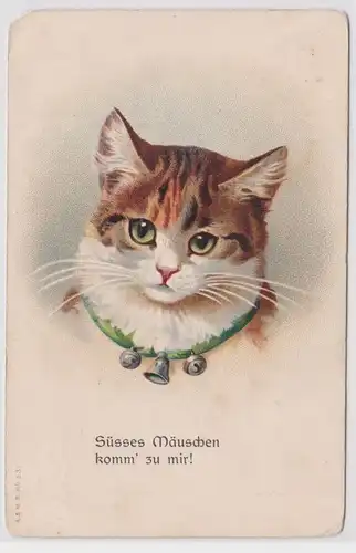 20671 Katzen Ak "Süsses Mäuschen komm´ zu  mir!" um 1910