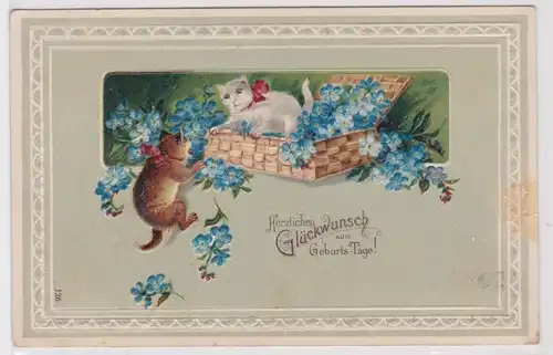 40969 Herzliche Geburtstagsgrüße Ak 2 Katzen mit Korb voll Vergißmeinnicht 1909