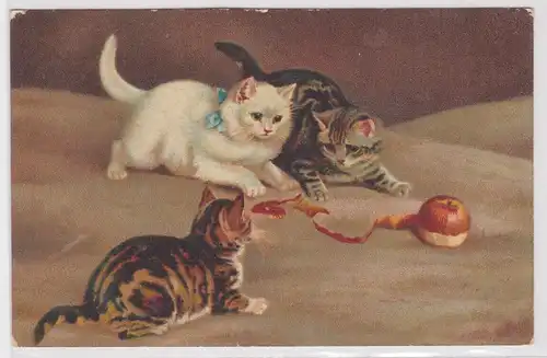 10185 Ak 3 niedliche Katzen spielen mit Apfel 1917