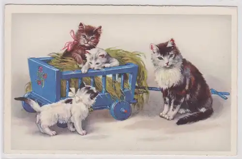 48856 Ak Katze mit Handwagen und 3 kleinen Kätzchen um 1940