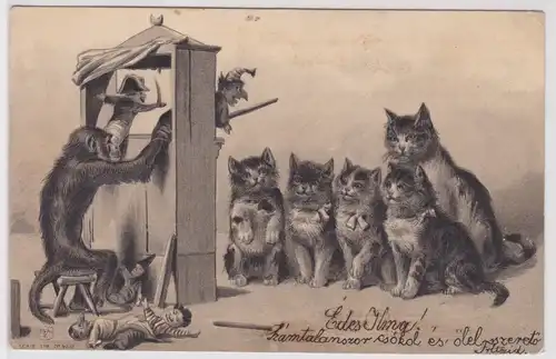32440 Präge Ak Puppentheater für Katzen mit Affen als Vorführer um 1900
