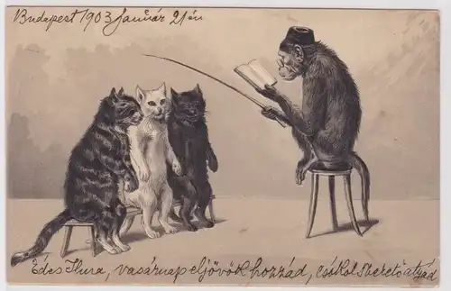 42270 Präge Ak Katzenschule mit Affe als Lehrer um 1900