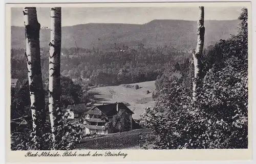 25954 Ak Bad Altheide Polanica-Zdrój Blick nach dem Steinberg um 1935