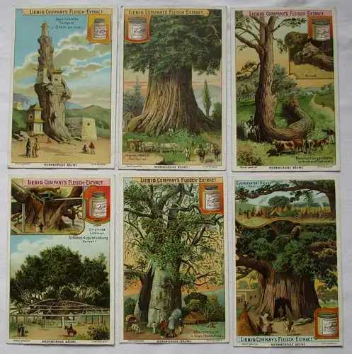Liebigbilder Serie Nr. 539 Merkwürdige Bäume I 1902 (5/123723)