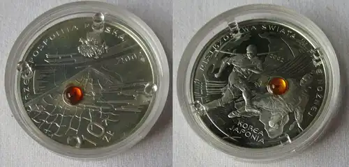 10 Zloty Silber Münze Polen Fußball WM Japan / Korea 2002 Bernstein PP (134202)