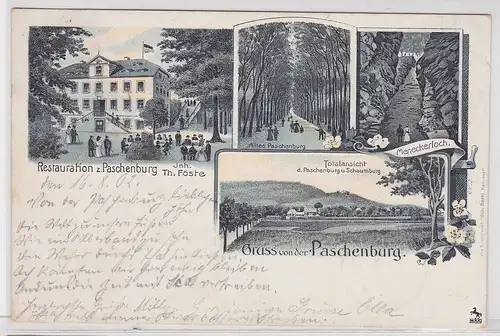 42454 AK Gruss von der Paschenburg - Meneckerloch, Allee, Restauration 1902