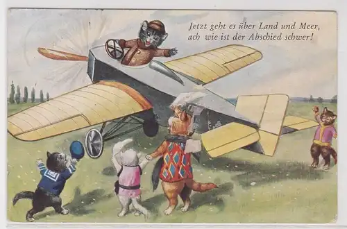 902616 Humor Ak Flugzeug mit Katzen 1930