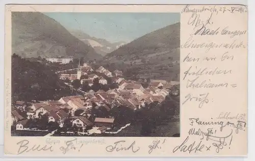 903541 Ak Gruß aus Langenbruck Kanton Basel Schweiz 1901