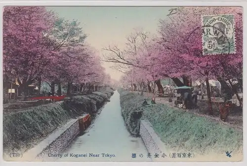 92069 Ak Cherry of Koganei near Tokyo französisch Indo China 1919