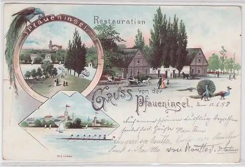 71348 AK Gruss von der Pfaueninsel - Restauration, Wannsee, Totalansicht 1898