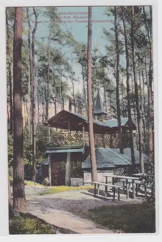 903741 Ak Obstweinschänke in Park Meusdorf bei Leipzig um 1910