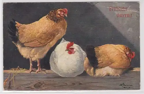 904969 Fröhliche Ostern Ak 3 Hühner sitzen auf Balken 1913