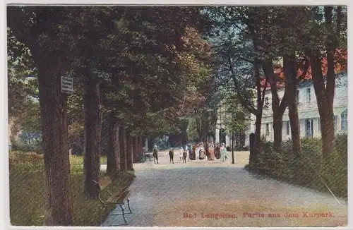 904114 Ak Bad Langenau Długopole-Zdrój Partie aus dem Kurpark 1915