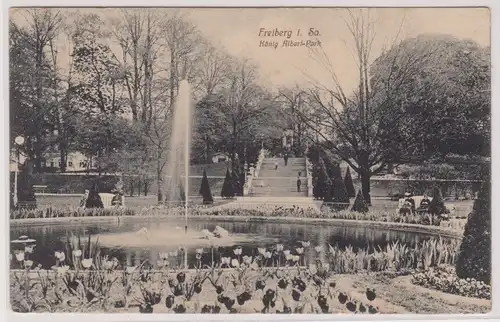 903655 Ak Freiberg in Sachsen König Albert Park 1916