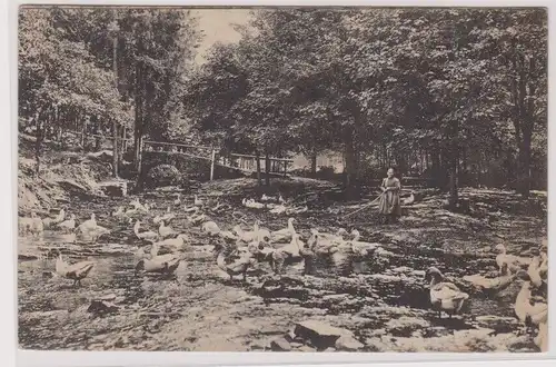 903648 Ak Finsterbergen Thüringer Wald Gänseliesel im Leinatal 1918
