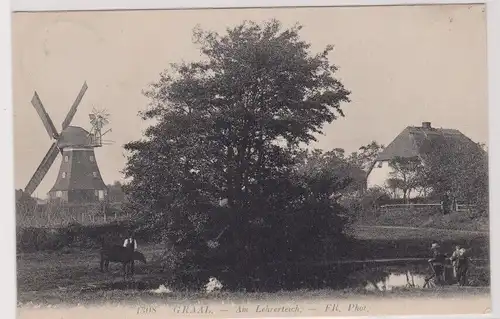 64850 Ak Graal am Lehrerteich mit Windmühle 1908