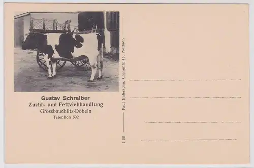 902297 Ak Grossbauchlitz Döbeln Zucht- und Fettviehhandlung um 1920