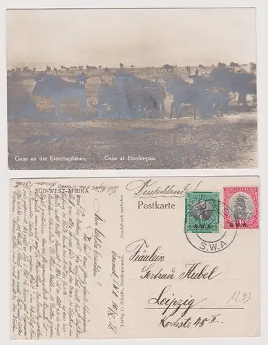 901688 Deutsch-Südwestafrika Gnus an der Etoschapfanne 1928