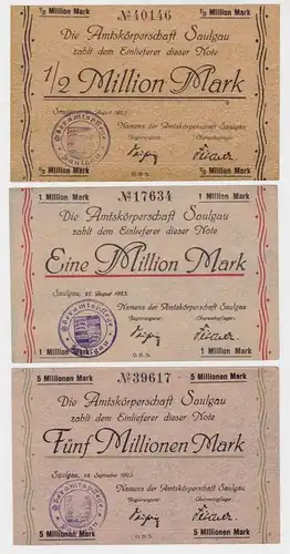 1/2 - 5 Millionen Mark Banknote Inflation Notgeld Saulgau 1923 (137272)