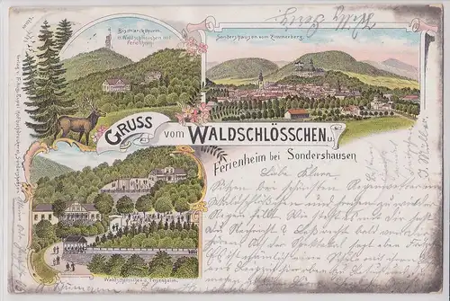 904140 Ak Lithographie Gruß vom Waldschlösschen und Ferienheim bei Sondershausen