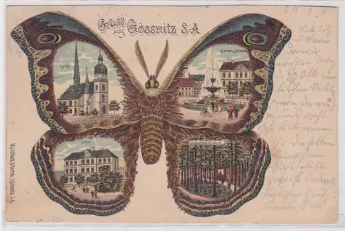 903956 Schmetterlings Ak Lithographie Gruß aus Gössnitz S.-A. 1901