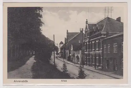 900420 Ak Ahrensbök in Schleswig Holstein Allee um 1930