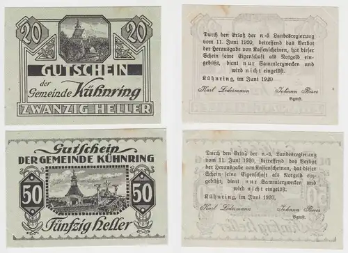 20 und 50 Heller Banknoten Kühnring Juni 1920 (135879)