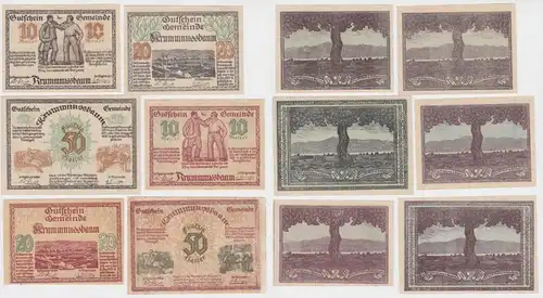 6x Heller Banknoten Krummnussbaum, 50 Heller mit Fehldruck (137221)