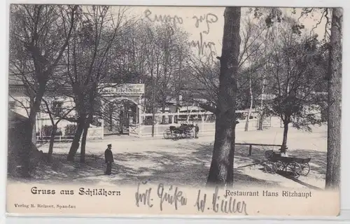 66236 Ak Gruß aus Schildhorn Restaurant Hans Ritzhaupt 1907
