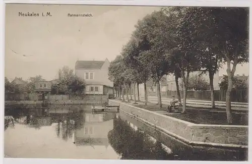 903516 Ak Neukalen in Mecklenburg Ratmannsteich 1911