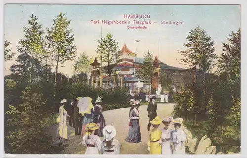 901542 Ak Hamburg Carl Hagenbecks Tierpark Stellingen Dressurhalle 1911