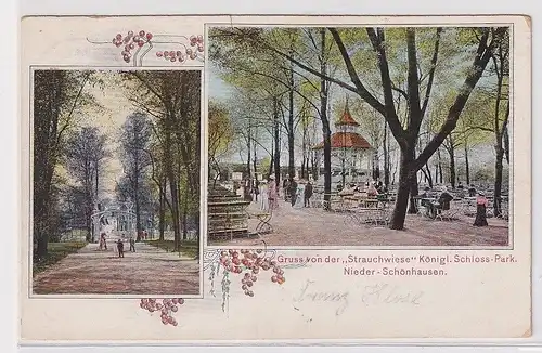 901008 Mehrbild AK Gruß von der "Strauchwiese" Park Nieder-Schönhausen 1905