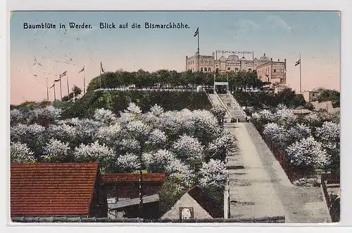 83709 Ak Baumblüte in Werder Blick auf die Friedrichshöhe 1927