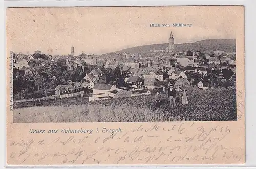 72554 Ak Gruß aus Schneeberg im Erzgebirge Blick vom Mühlberg 1921