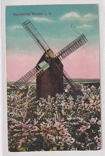 09889 Ak Baumblüte bei Werder a.H. Windmühle 1924