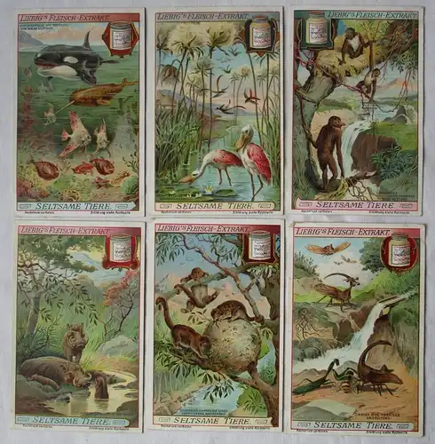 Liebigbilder Serie 887 Seltsame Tiere, komplett 1913 (7/152938)