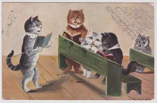 55919 Ak Katzen in der Schule Lehrer mit Stock und Buch vor Schulbank 1907