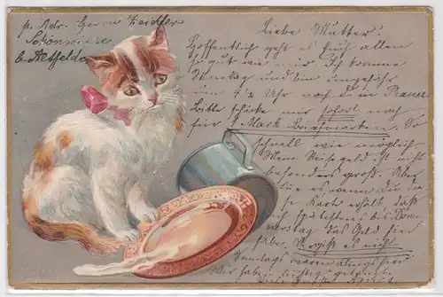 93166 Präge Ak niedliche Katze schaut auf umgeworfenes Schälchen 1904
