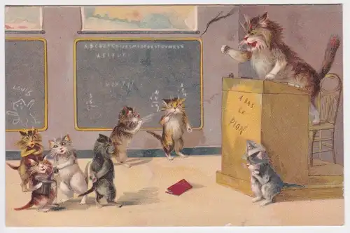 97395 Humor Ak Katzen in der Schule mit schimpfender Lehrer Katze 1905