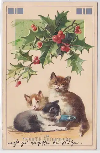 86139 Fröhliche Weihnachten Präge Ak 3 Katzenkinder unter Zweig 1912