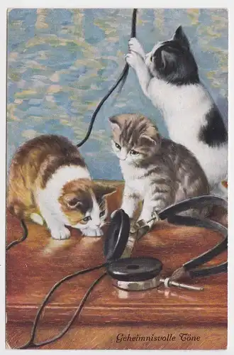 73042 Ak "Geheimnisvolle Töne" 3 Katzenkinder spielen mit Kopfhörer um 1930