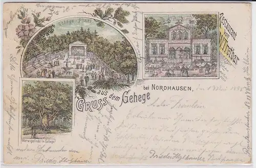 903335 Ak Lithographie Gruß aus dem Gehege bei Nordhausen 1898