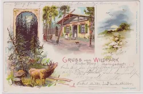 903511 Ak Lithographie Gruß aus dem Wildpark Heringsdorf 1899